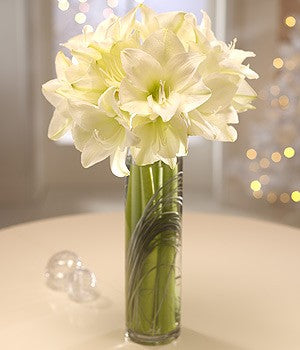 Elegant Winter White